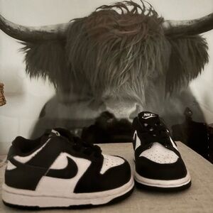 Nike Baby Panda Dunks 4C